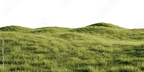 Green grassy rolling hills in a peaceful summer meadow landscape