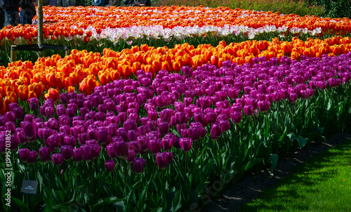 Netherlands, Amsterdam, Keukhenhof