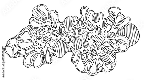 Connected organic clusters with cell structures and linear textures in minimalist line art style