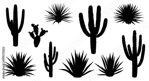 Desert Flora Silhouettes: Cacti and Agave Collection