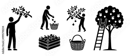 Apple Picking People Icon Set, Harvesting Fruit Tree and Crate Illustrations, Farm Labor Vector Collection for Agricultural Concept Design, Orchard Worker Symbols Isolated on White Background for Web