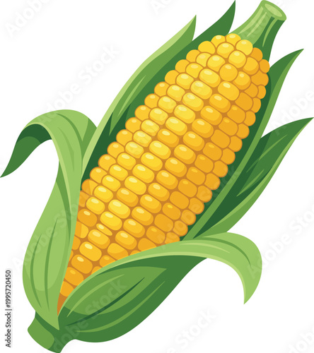 Fresh Corn on the Cob Healthy Vegetable Design
