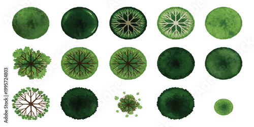 Set of top view tree symbols for landscape architecture and garden design site plans