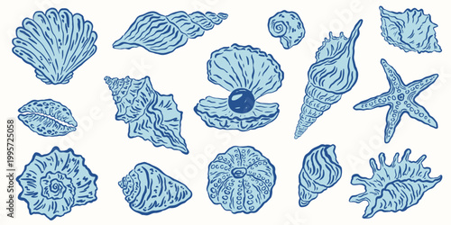 Hand drawn blue seashells set. Coastal ocean travel minimalist line art. Tropical beach shells drawing ink. Vector Summer vacation design elements for trendy prints, label, menu cover, scrapbooks