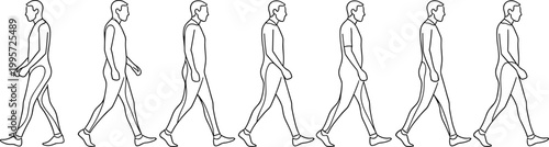 Walking man line art sequence showing step by step motion isolated on white background representing human gait cycle and movement study