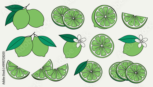 A set of stylized lime illustrations showing whole fruits, slices, wedges, and blossoms in fresh green tones.