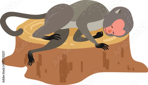 Monkey lays and sleeps on a trunk