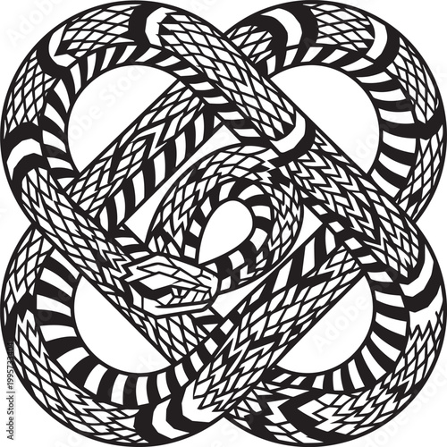 Coiled snake in infinite loop optical illusion black and white vector - Adobe Illustrator Artwork