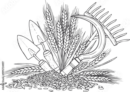 Garden tools, wheat stalks, and grain harvest