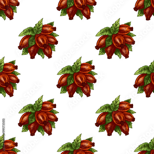 Hand drawn vintage seamless pattern of rosehip berries bundle with leaves in color engraving botanical illustration design