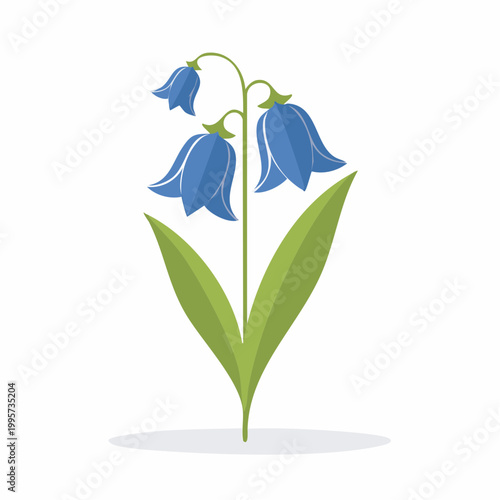 Stylized Bluebell Flower Illustration