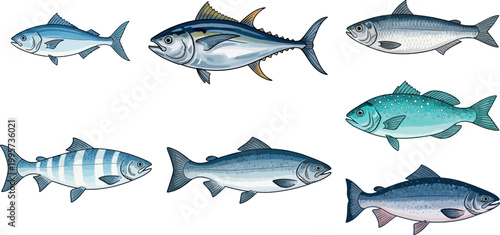 Fish Vector Set with Different Marine and Freshwater Species Detailed Seafood Illustration for Ocean Life Design, Fishing Graphics, and Aquatic Animal Collection