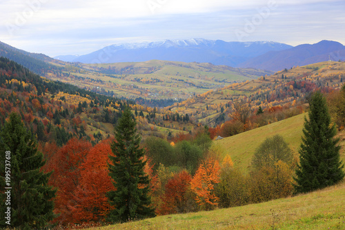 Vibrant autumn forest landscape with rolling hills and distant snow-capped mountains