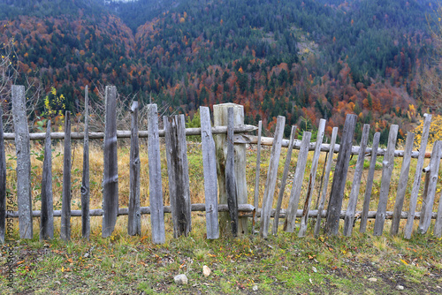 Rustic wooden fence in autumn forest landscape with colorful trees