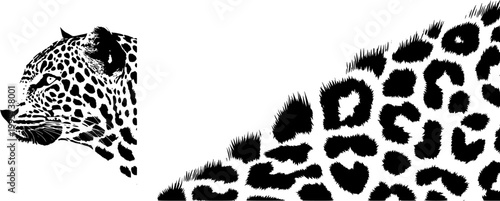 A photorealistic macro captures a leopards intricate rosette patterns and individual golden hairs against a pure white background, showcasing the animals majestic beauty in sharp focus