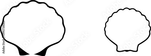 A photorealistic macro captures a single raw Scallop in its fan-shaped shell, showcasing the delicate white meat and vibrant orange coral (roe) against a pure white background