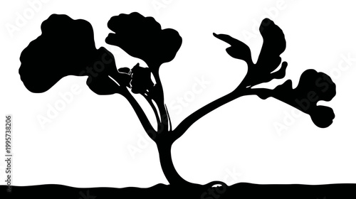 A black silhouette of a plant with large leaves against a white background