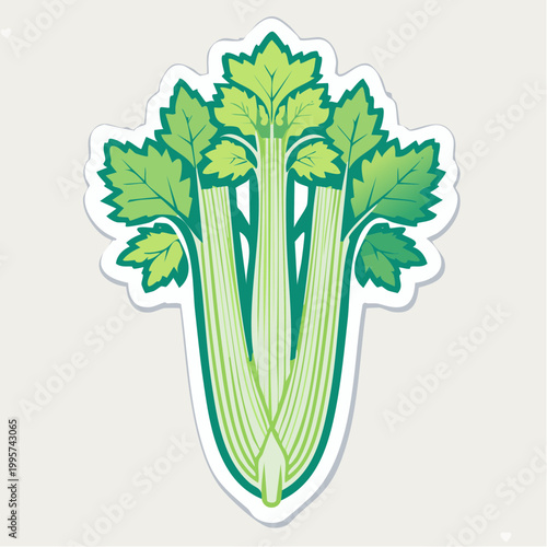 Stylized Illustration of Fresh Celery Stalks