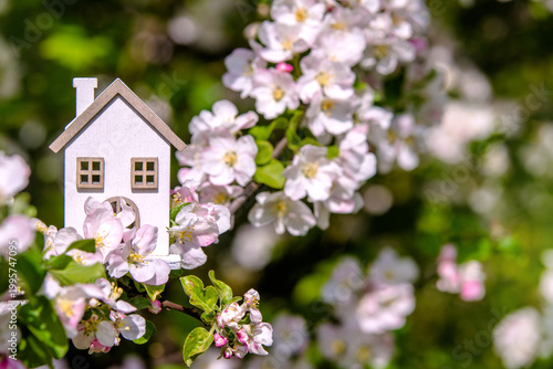 Symbol of the house on the branches of a flowering apple