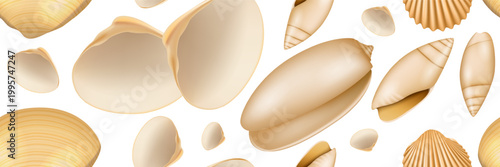 Realistic Seashell Seamless Pattern