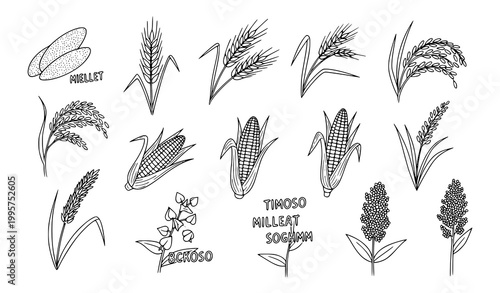 Cereals doodle line icons vector wheat barley rice grain plants set