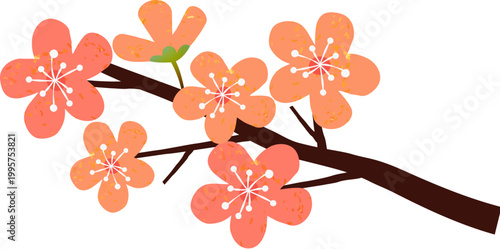 Plum blossom for winter