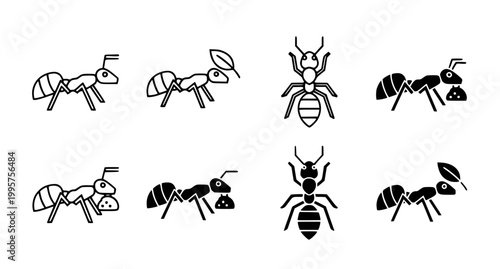 Set of black and white ant icons showing various behaviors and anatomy in flat vector style for biology education and pest control branding materials for professional graphic design projects