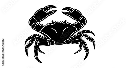 Black Crab Silhouette on White Background