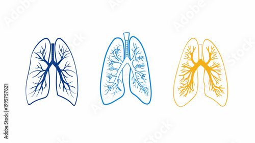 Three stylized lung illustrations in blue, light blue, and yellow with white background
