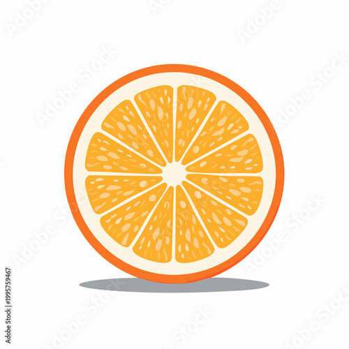 Illustration of a Fresh Orange Slice