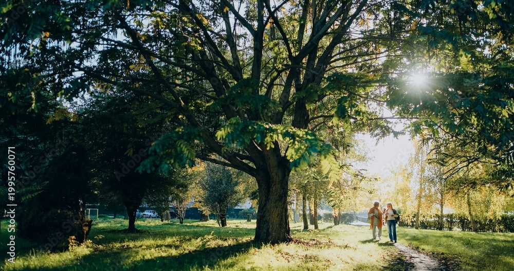 Fototapeta premium Senior friends enjoying peaceful walk in park