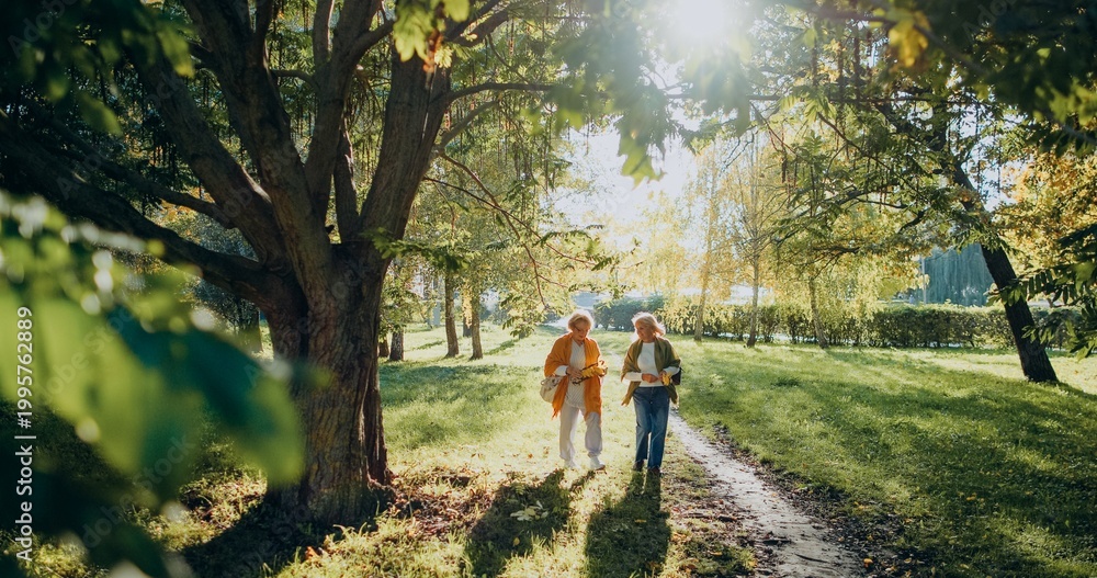 Fototapeta premium Senior women walking in park enjoying autumn nature