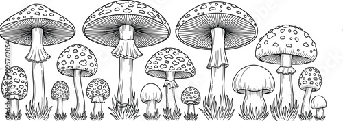 Detailed Black and White Wild Mushroom Forest Scene Collection Featuring Various Spotted Amanita and Toadstool Species in Engraving Sketch Vector Design for Nature and Botanical Concepts