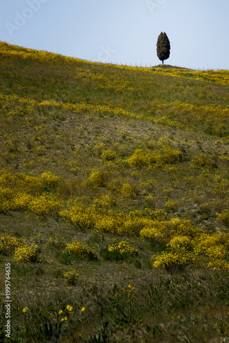 Toscana, Val de Orcia