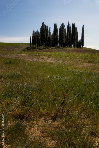 Toscana, Val de Orcia