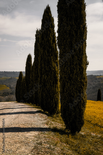 Toscana, Val de Orcia