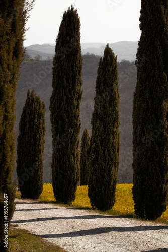 Toscana, Val de Orcia