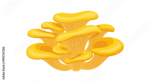 Golden Yellow Mushroom Closeup View.