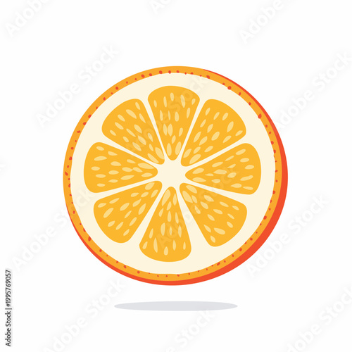 Stylized Slice of Orange Fruit