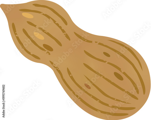 Peanut pod