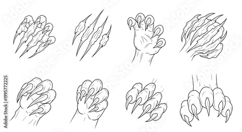 Collection of hand-drawn line art illustrations showing various animal claws, paws, and fierce scratch marks.