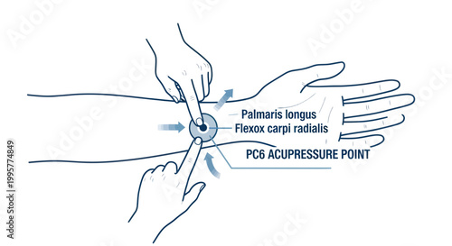 Acupressure point PC6 on human wrist, alternative medicine, pain relief illustration