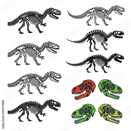 Dinosaur Skeletons and Skulls Illustration Set