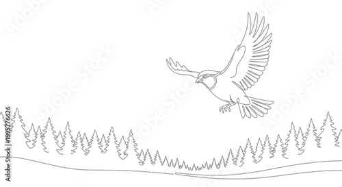 Minimalist single line drawing of a blue jay in flight over a pine forest landscape.