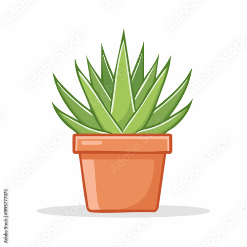 Potted Succulent Plant Illustration