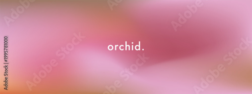 Abstract blurred exotic flower gradient background. Orchid colors vector texture. Aesthetic pale pink, purple and beige color gradation. Bright close-up petal pattern. Beauty in nature wide banner