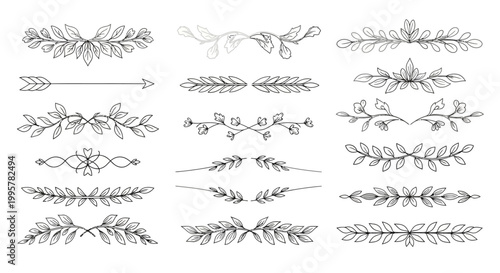 Collection of various leafy decorative borders.