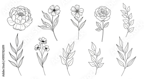 Variety of flowers and leaves drawing.