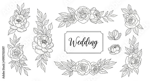 Wedding flowers and leaves illustration.