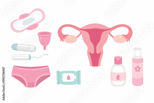 Women's reproductive health products and anatomy illustration